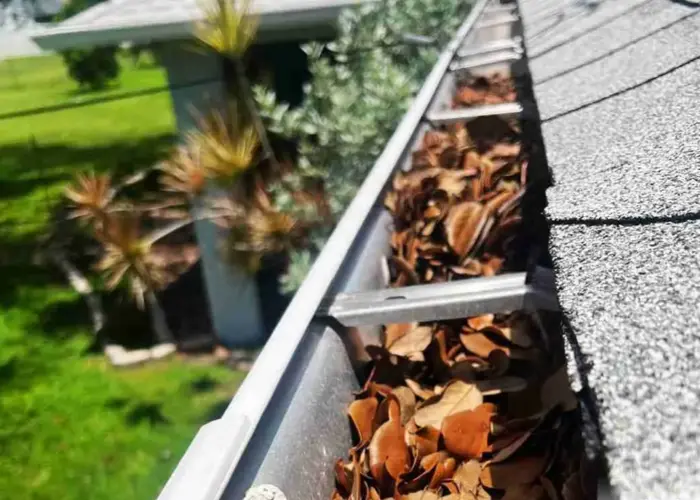 Fort Collins gutter cleaning home page